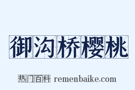 御沟桥樱桃是什么意思的图片